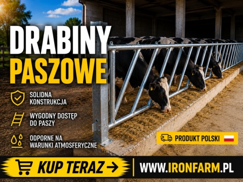 Drabina paszowa dla bydła skośna / prosta – ocynkowana – 1 mb